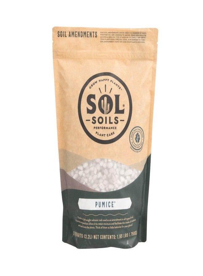 Sol Soils Horticultural Pumice - Lightweight, All-Natural Volcanic Rock Soil Amendment to Improve Drainage, Aeration & Maintain Moisture Balance – Filtered 3/8" to 1/4" - 2 Quarts - Image 1